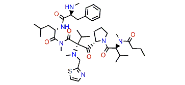 Biseokeaniamide A